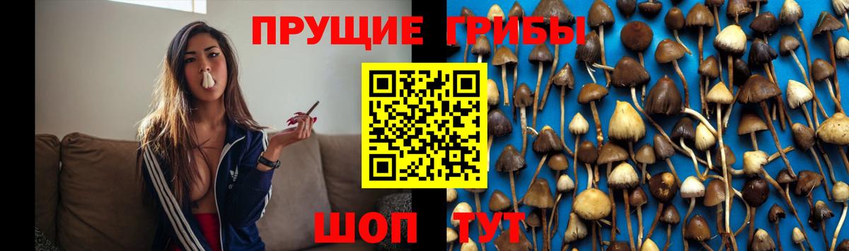 купить наркоту  Галлюциногенные грибы Magic Shrooms  Вход с VPN  Псилоцибиновые грибы мухоморы  Мыски 